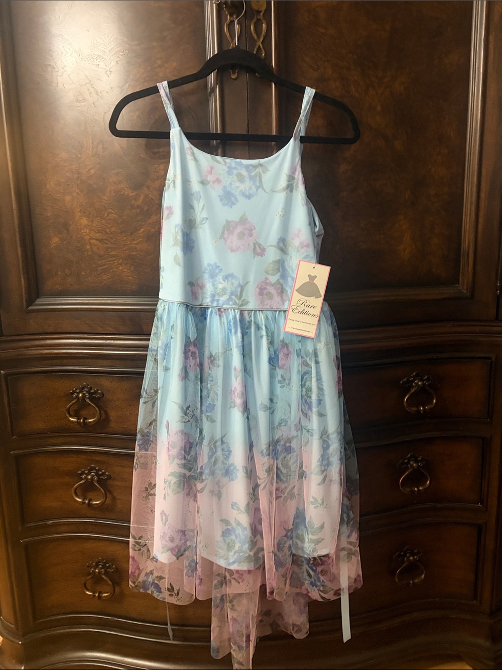 Rare Editions Light Blue & Pink Floral Tulle Dress